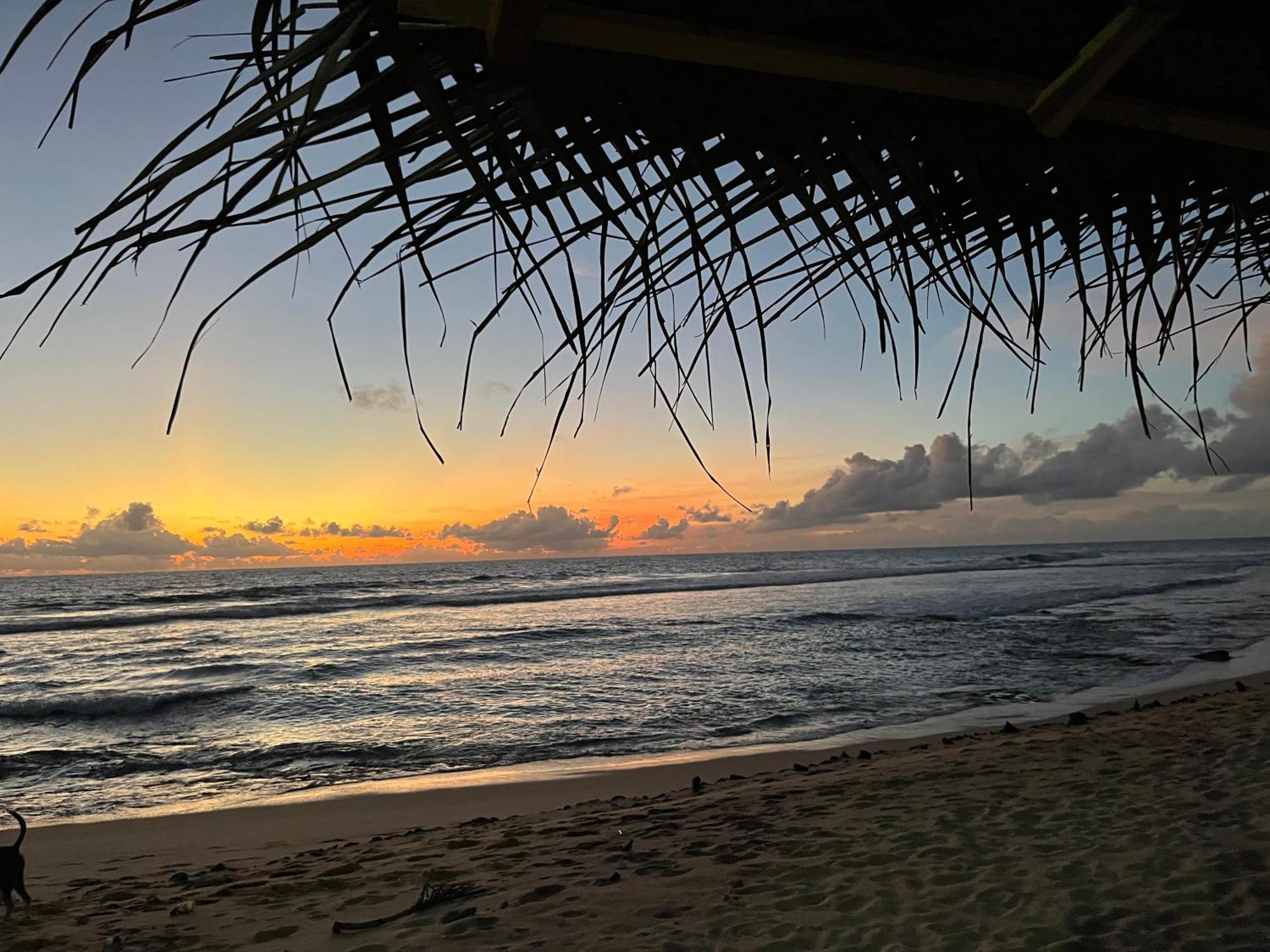 Ocean Reef Hotel هيكادوفا المظهر الخارجي الصورة